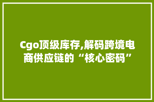 Cgo顶级库存,解码跨境电商供应链的“核心密码”