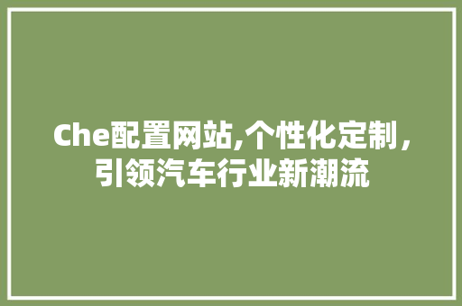 Che配置网站,个性化定制，引领汽车行业新潮流