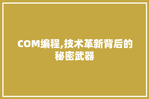 COM编程,技术革新背后的秘密武器