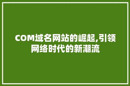 COM域名网站的崛起,引领网络时代的新潮流