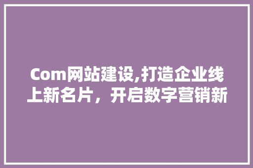Com网站建设,打造企业线上新名片，开启数字营销新篇章