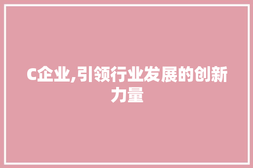 C企业,引领行业发展的创新力量