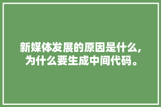 新媒体发展的原因是什么,为什么要生成中间代码。