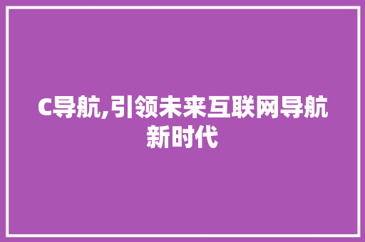 C导航,引领未来互联网导航新时代