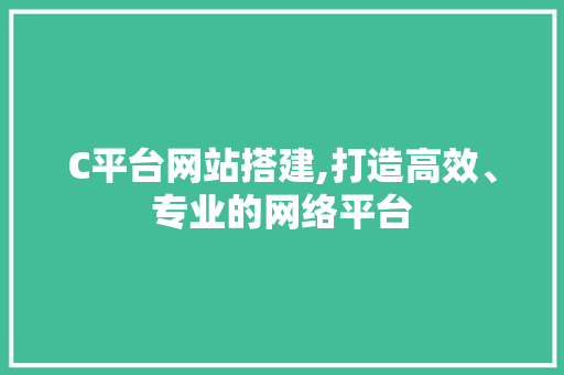 C平台网站搭建,打造高效、专业的网络平台