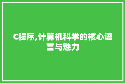 C程序,计算机科学的核心语言与魅力
