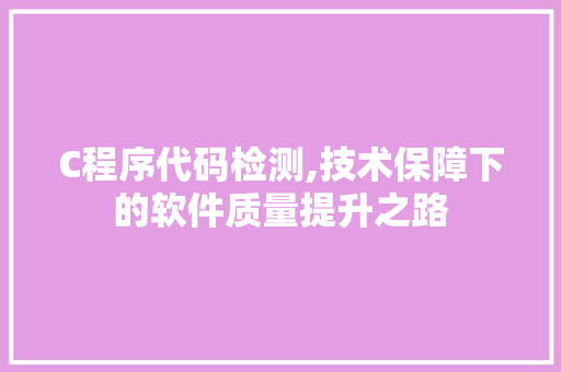 C程序代码检测,技术保障下的软件质量提升之路