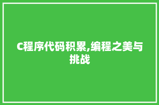 C程序代码积累,编程之美与挑战