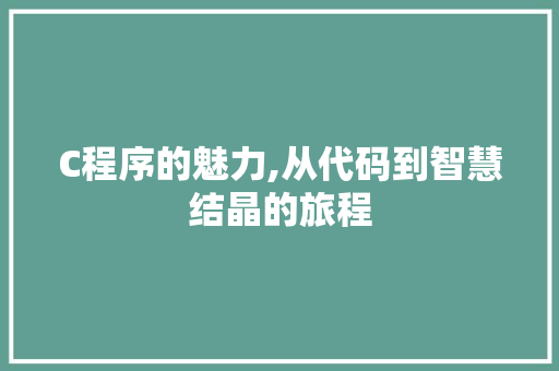 C程序的魅力,从代码到智慧结晶的旅程