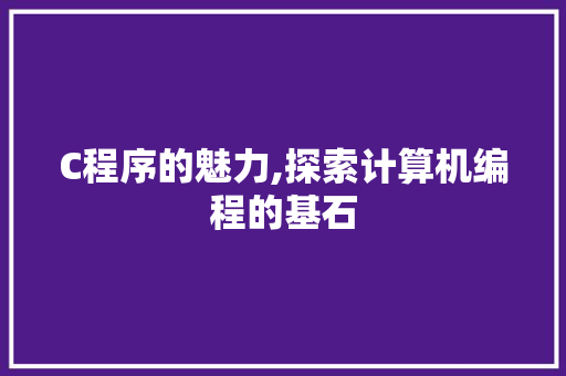 C程序的魅力,探索计算机编程的基石