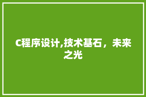 C程序设计,技术基石，未来之光