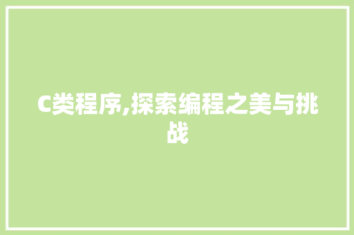 C类程序,探索编程之美与挑战 C类程序,探索编程之美与挑战 网站建设公司
