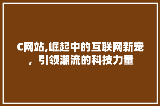 C网站,崛起中的互联网新宠，引领潮流的科技力量