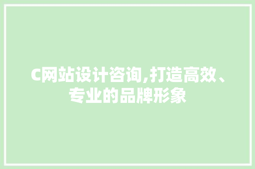 C网站设计咨询,打造高效、专业的品牌形象
