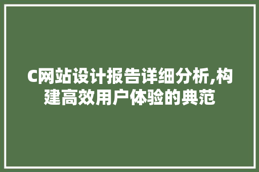 C网站设计报告详细分析,构建高效用户体验的典范