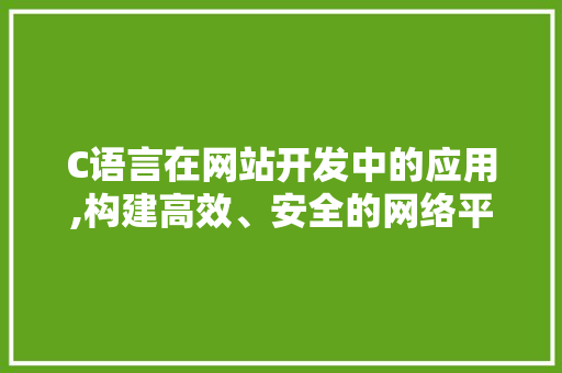 C语言在网站开发中的应用,构建高效、安全的网络平台