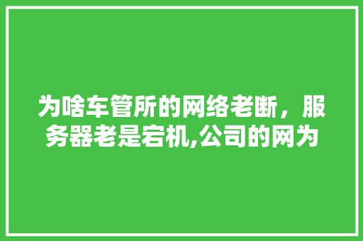 为啥车管所的网络老断，服务器老是宕机,公司的网为什么总是断网。 为啥车管所的网络老断，服务器老是宕机,公司的网为什么总是断网。 网站建设公司