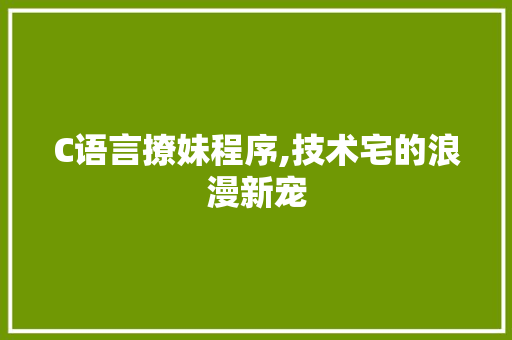 C语言撩妹程序,技术宅的浪漫新宠 C语言撩妹程序,技术宅的浪漫新宠 百度SEO