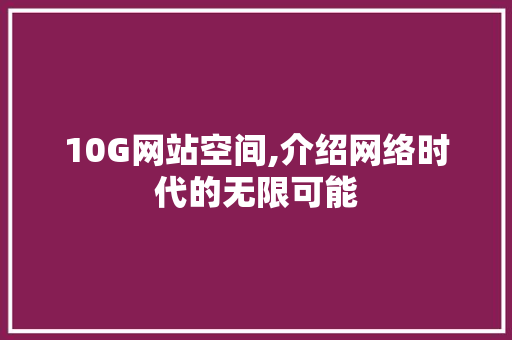 10G网站空间,介绍网络时代的无限可能