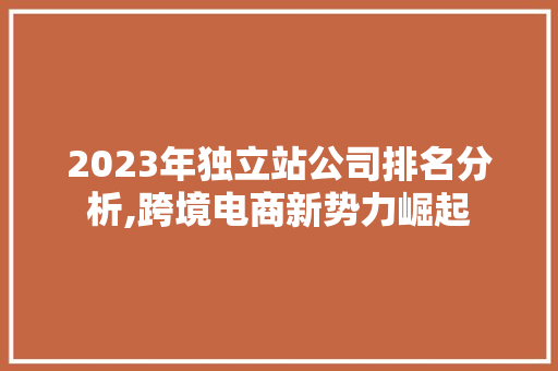2023年独立站公司排名分析,跨境电商新势力崛起