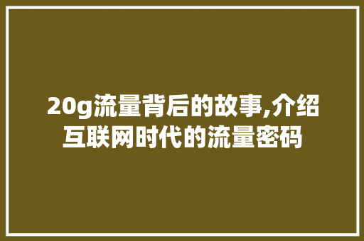 20g流量背后的故事,介绍互联网时代的流量密码
