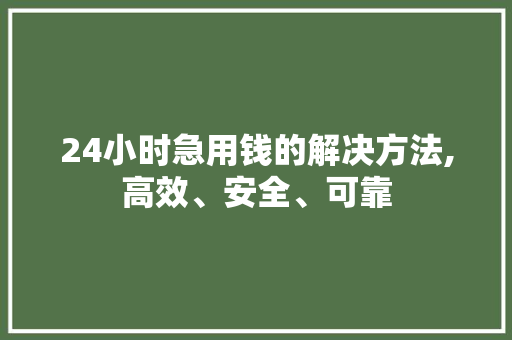 24小时急用钱的解决方法,高效、安全、可靠