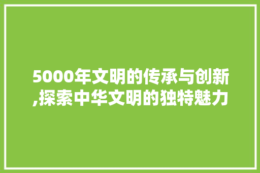 5000年文明的传承与创新,探索中华文明的独特魅力