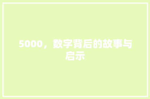 5000，数字背后的故事与启示