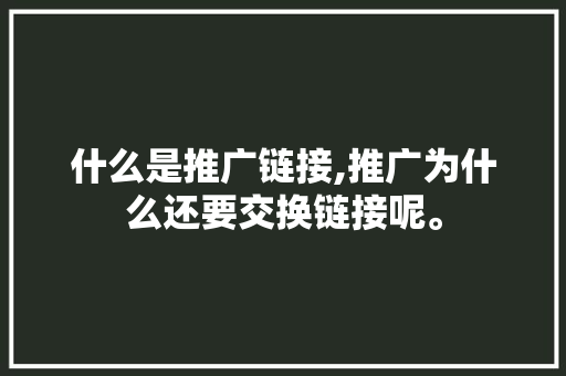 什么是推广链接,推广为什么还要交换链接呢。 什么是推广链接,推广为什么还要交换链接呢。 SEO关键词