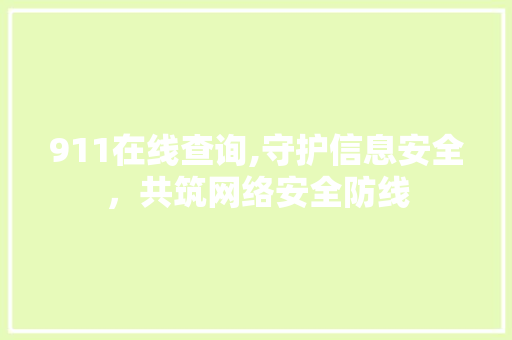 911在线查询,守护信息安全，共筑网络安全防线 911在线查询,守护信息安全，共筑网络安全防线 网站建设公司