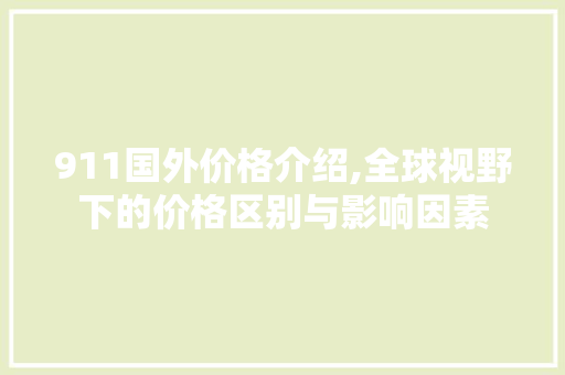 911国外价格介绍,全球视野下的价格区别与影响因素