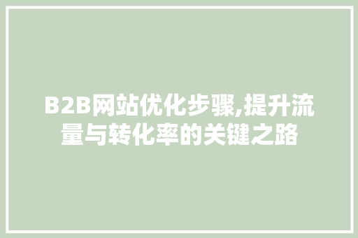 B2B网站优化步骤,提升流量与转化率的关键之路 B2B网站优化步骤,提升流量与转化率的关键之路 神马SEO