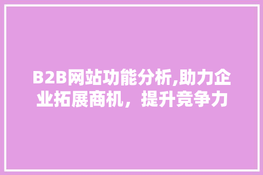 B2B网站功能分析,助力企业拓展商机，提升竞争力