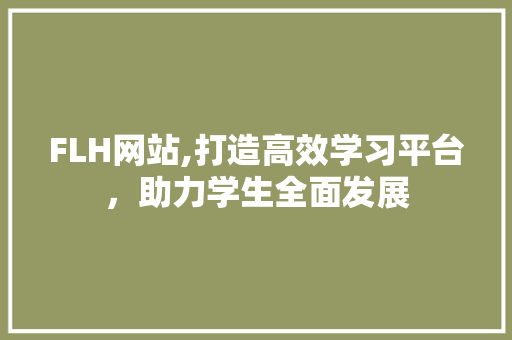 FLH网站,打造高效学习平台，助力学生全面发展