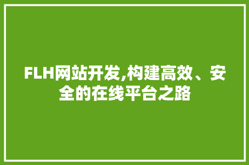 FLH网站开发,构建高效、安全的在线平台之路