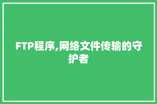 FTP程序,网络文件传输的守护者