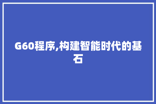 G60程序,构建智能时代的基石