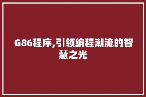 G86程序,引领编程潮流的智慧之光