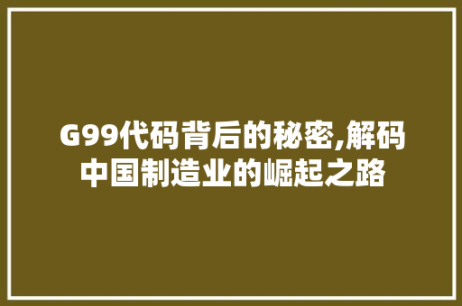 G99代码背后的秘密,解码中国制造业的崛起之路