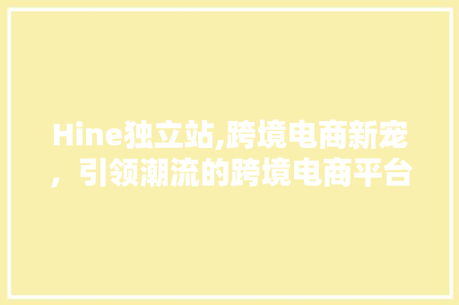 Hine独立站,跨境电商新宠，引领潮流的跨境电商平台