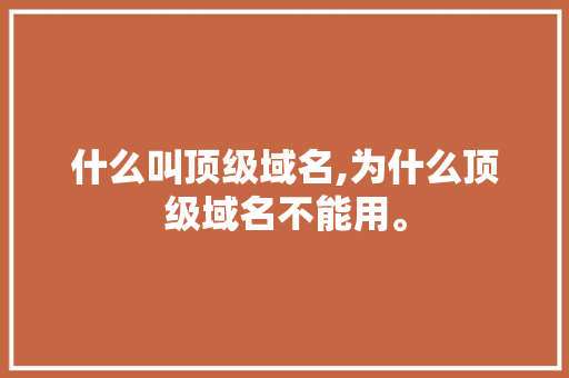 什么叫顶级域名,为什么顶级域名不能用。