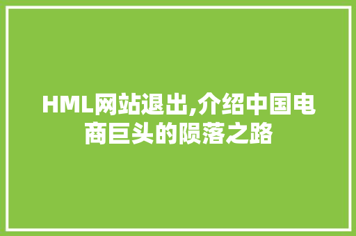 HML网站退出,介绍中国电商巨头的陨落之路