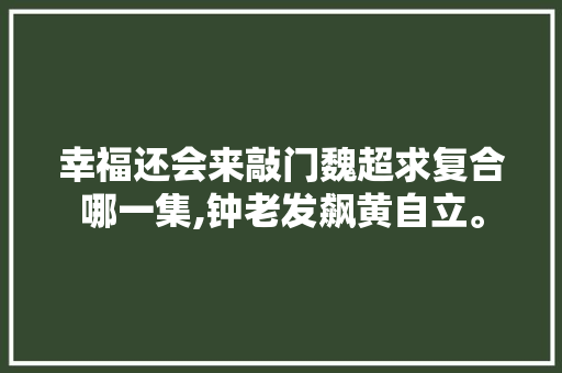 幸福还会来敲门魏超求复合哪一集,钟老发飙黄自立。