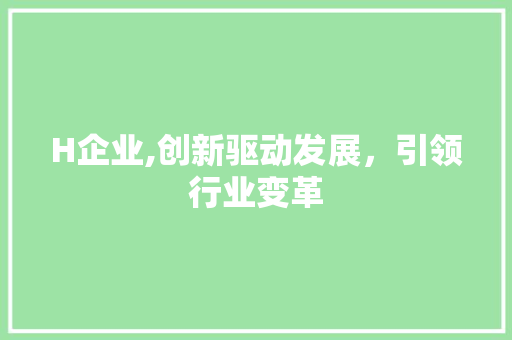 H企业,创新驱动发展，引领行业变革