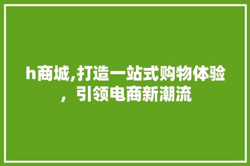 h商城,打造一站式购物体验，引领电商新潮流