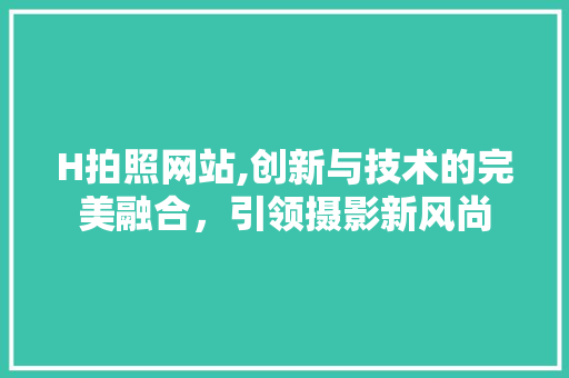H拍照网站,创新与技术的完美融合，引领摄影新风尚