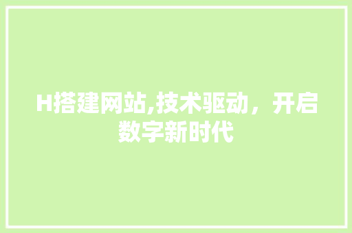 H搭建网站,技术驱动，开启数字新时代