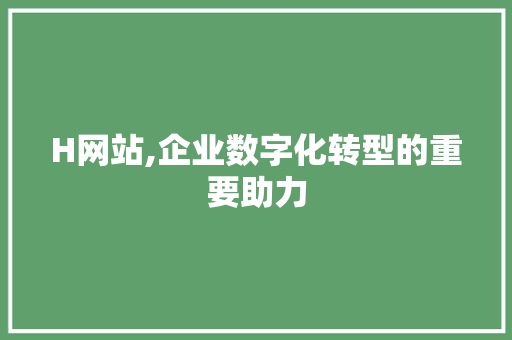 H网站,企业数字化转型的重要助力