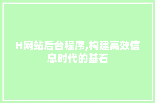 H网站后台程序,构建高效信息时代的基石