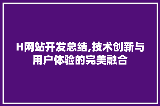 H网站开发总结,技术创新与用户体验的完美融合